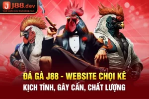 Đá Gà acvwinmilan - Website Chọi Kê Kịch Tính, Gây Cấn, Chất Lượng